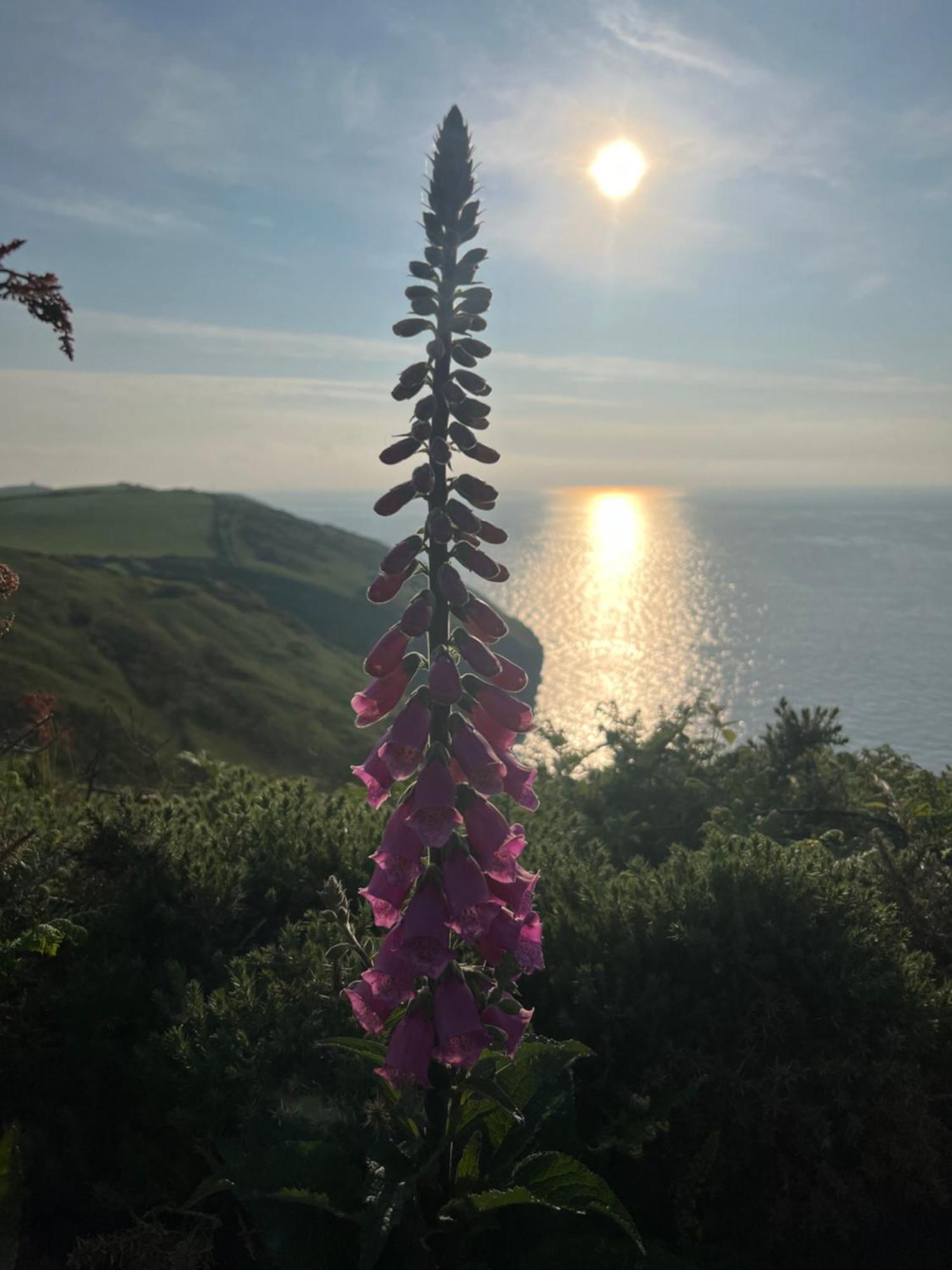 Courtyard Farm Cottages Boscastle Luaran gambar