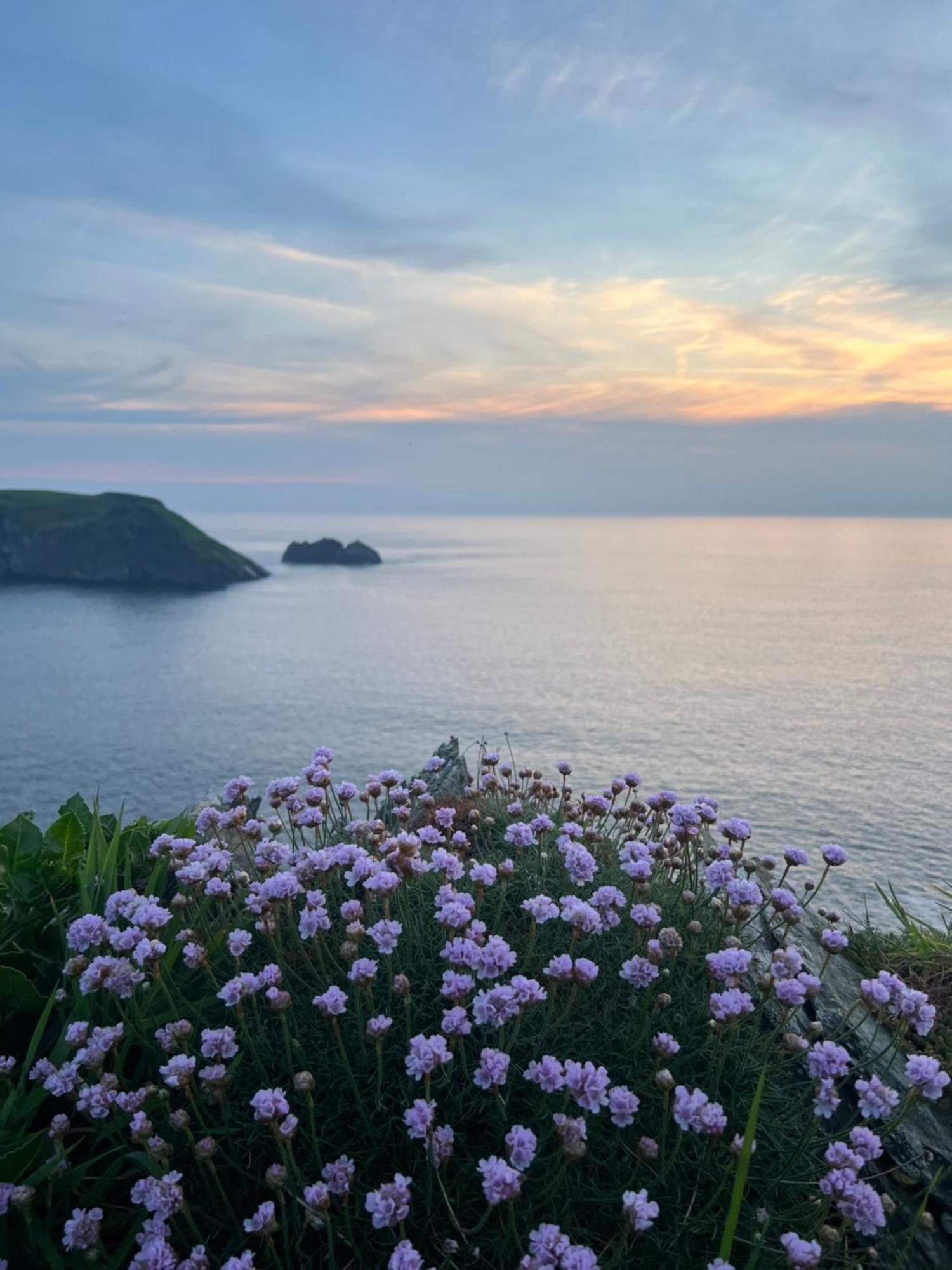 Courtyard Farm Cottages Boscastle Luaran gambar