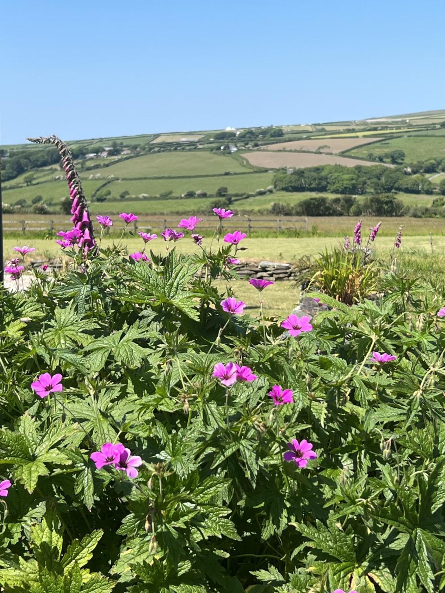 Courtyard Farm Cottages Boscastle Luaran gambar