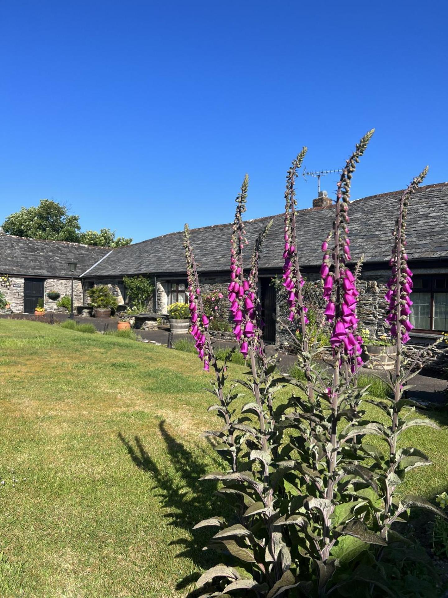 Courtyard Farm Cottages Boscastle Luaran gambar