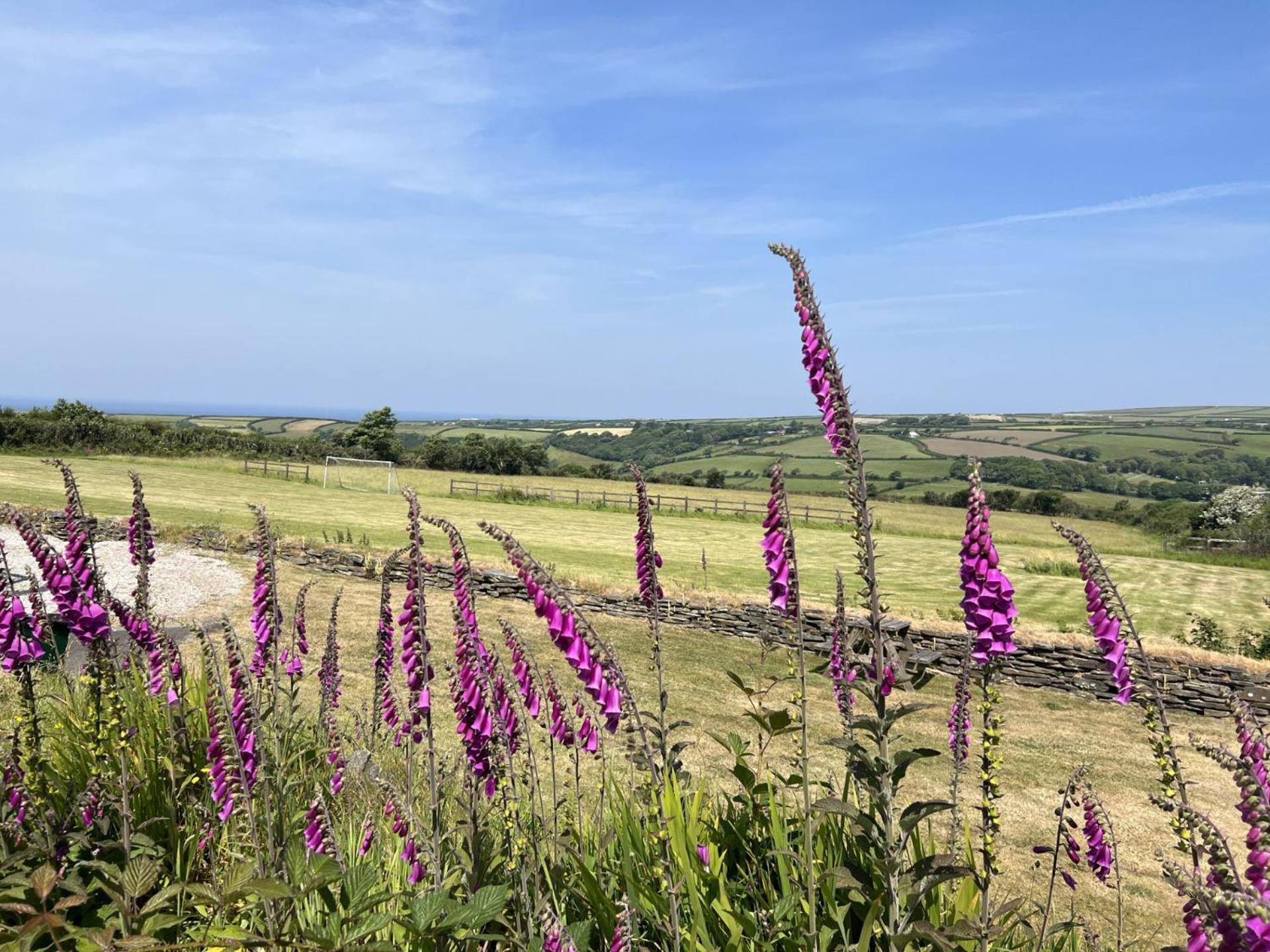 Courtyard Farm Cottages Boscastle Luaran gambar