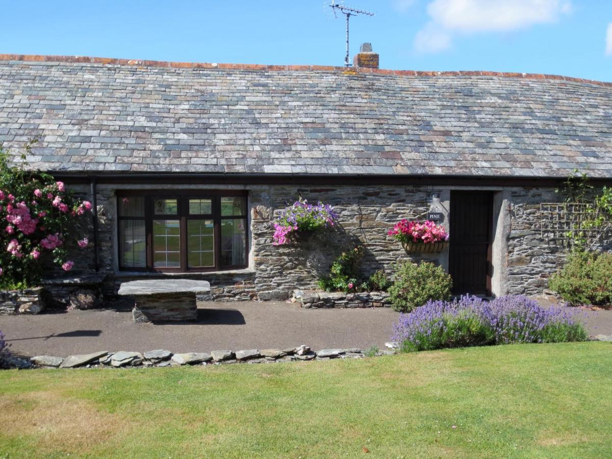 Courtyard Farm Cottages Boscastle Luaran gambar